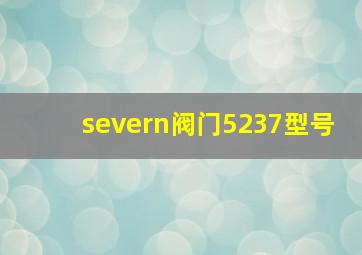 severn阀门5237型号