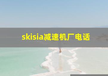 skisia减速机厂电话