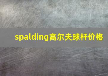 spalding高尔夫球杆价格