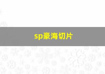 sp豪海切片