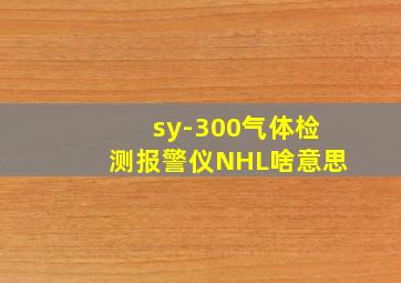 sy-300气体检测报警仪NHL啥意思