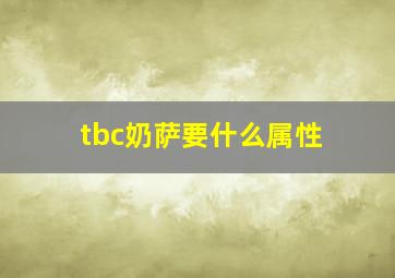 tbc奶萨要什么属性