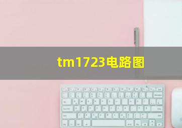 tm1723电路图