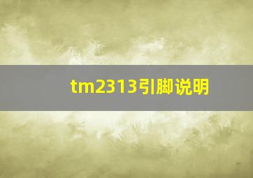 tm2313引脚说明