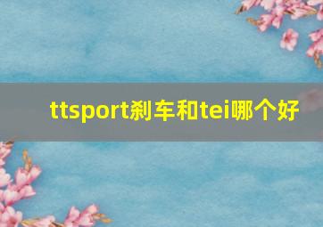 ttsport刹车和tei哪个好