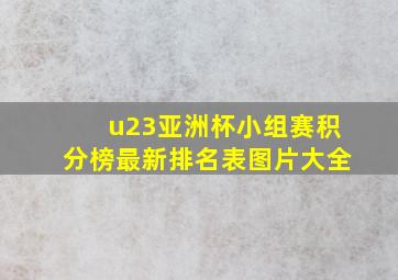 u23亚洲杯小组赛积分榜最新排名表图片大全