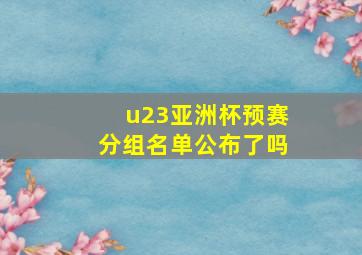 u23亚洲杯预赛分组名单公布了吗