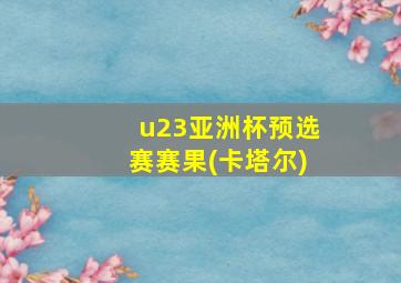 u23亚洲杯预选赛赛果(卡塔尔)