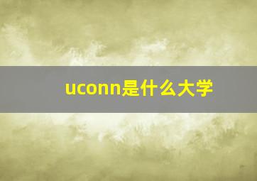 uconn是什么大学