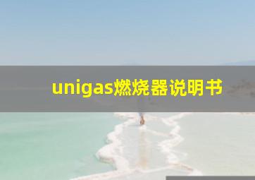 unigas燃烧器说明书