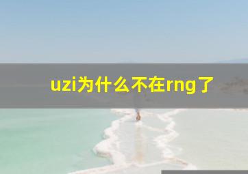 uzi为什么不在rng了