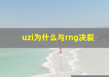 uzi为什么与rng决裂