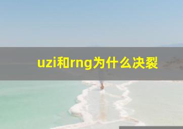 uzi和rng为什么决裂