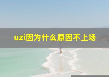 uzi因为什么原因不上场