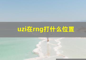 uzi在rng打什么位置