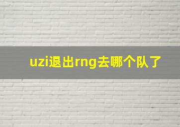 uzi退出rng去哪个队了