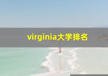 virginia大学排名