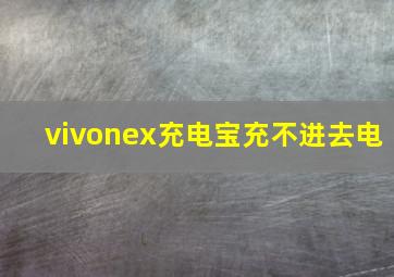 vivonex充电宝充不进去电