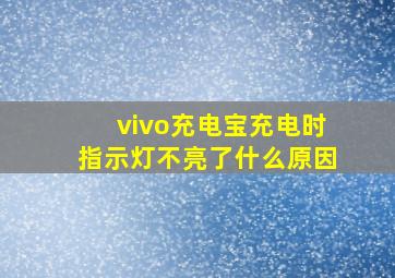 vivo充电宝充电时指示灯不亮了什么原因