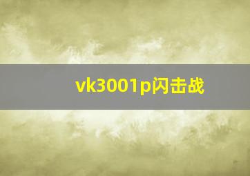 vk3001p闪击战