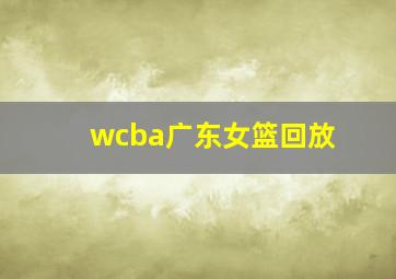 wcba广东女篮回放