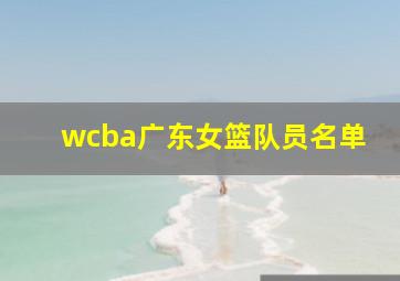 wcba广东女篮队员名单