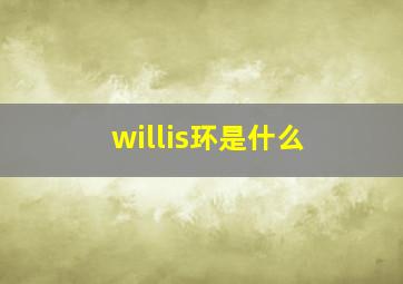 willis环是什么