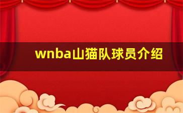 wnba山猫队球员介绍