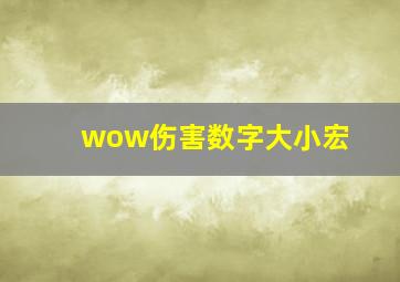 wow伤害数字大小宏