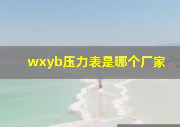 wxyb压力表是哪个厂家