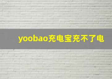 yoobao充电宝充不了电