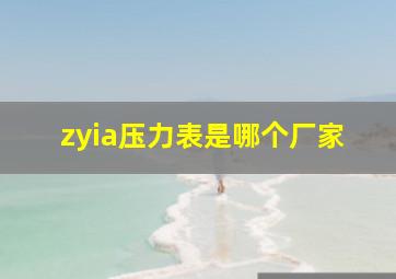 zyia压力表是哪个厂家