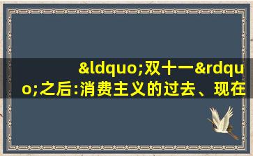 “双十一”之后:消费主义的过去、现在和未来