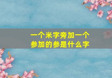 一个米字旁加一个参加的参是什么字