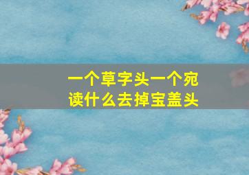 一个草字头一个宛读什么去掉宝盖头