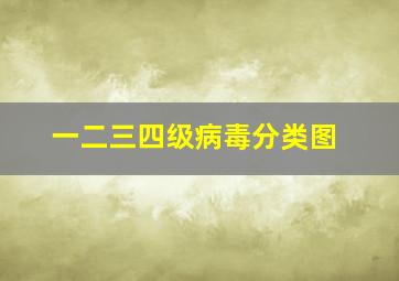 一二三四级病毒分类图