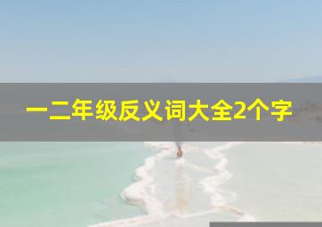 一二年级反义词大全2个字