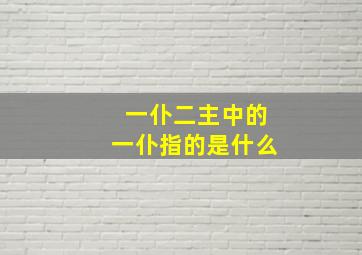 一仆二主中的一仆指的是什么