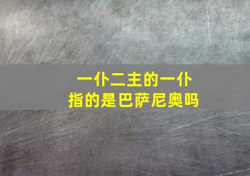 一仆二主的一仆指的是巴萨尼奥吗