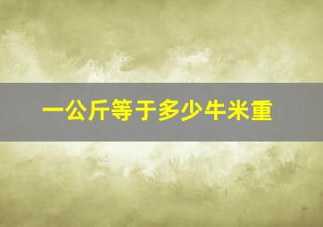 一公斤等于多少牛米重