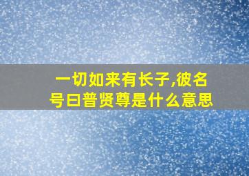 一切如来有长子,彼名号曰普贤尊是什么意思