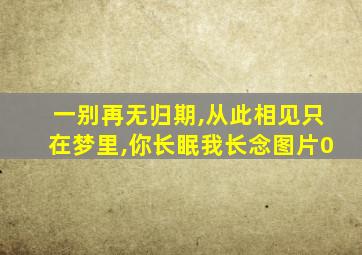 一别再无归期,从此相见只在梦里,你长眠我长念图片0