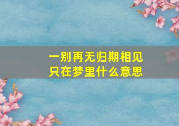 一别再无归期相见只在梦里什么意思