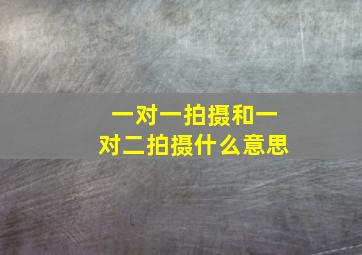 一对一拍摄和一对二拍摄什么意思