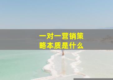 一对一营销策略本质是什么