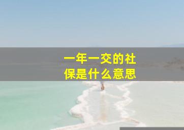 一年一交的社保是什么意思