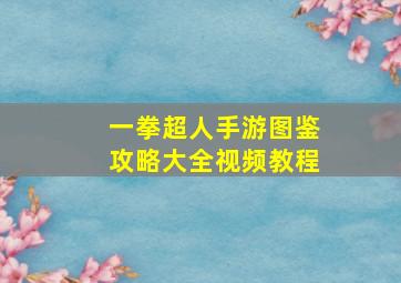 一拳超人手游图鉴攻略大全视频教程