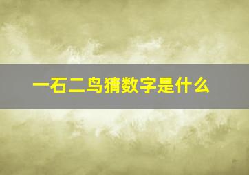 一石二鸟猜数字是什么