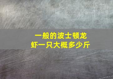 一般的波士顿龙虾一只大概多少斤