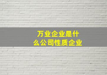 万业企业是什么公司性质企业